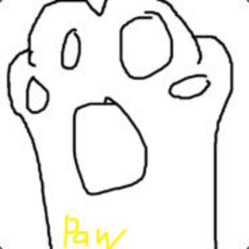 Raylwk